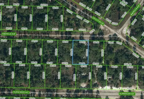 427 Amorous Ave, Lake Placid, FL 33852