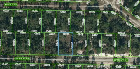 420 Surrender Ave, Lake Placid, FL 33852