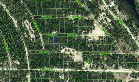 415 Surrender Ct, Lake Placid, FL 33852