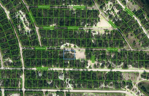 417 Wind Rose Ave, Lake Placid, FL 33852