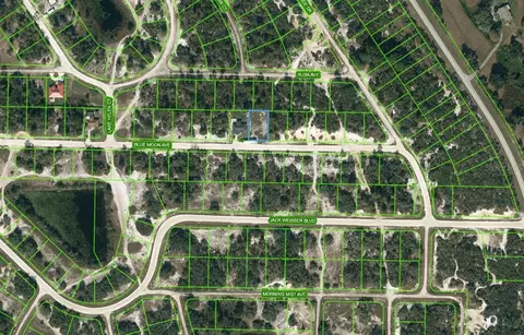 464 Blue Moon Ave, Lake Placid, FL 33852
