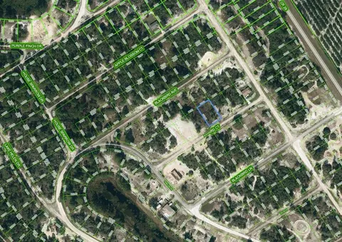 452 Blackbird Ct, Lake Placid, FL 33852