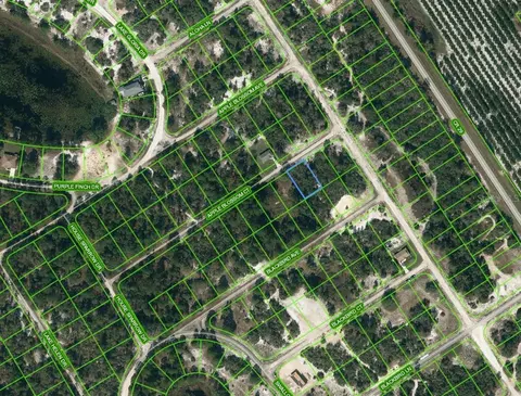 455 Apple Blossom Ct, Lake Placid, FL 33852