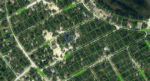 415 Tahiti Ct, Lake Placid, FL 33852