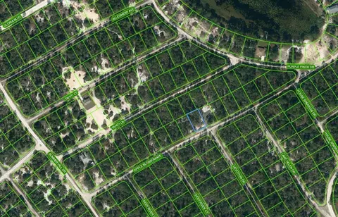 420 Apple Blossom Ct, Lake Placid, FL 33852