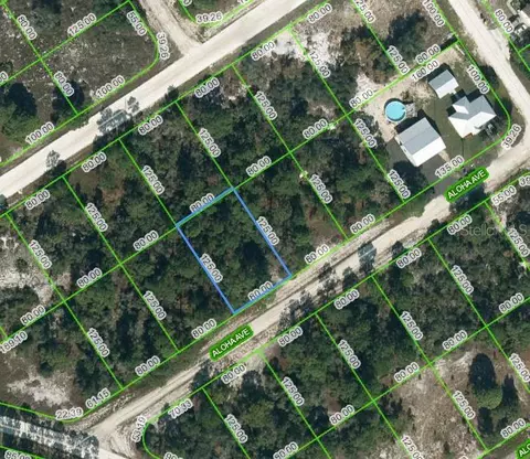 450 Aloha Ave, Lake Placid, FL 33852