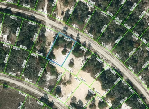 463 Morningside Dr, Lake Placid, FL 33852