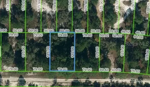 428 Morningside Dr, Lake Placid, FL 33852