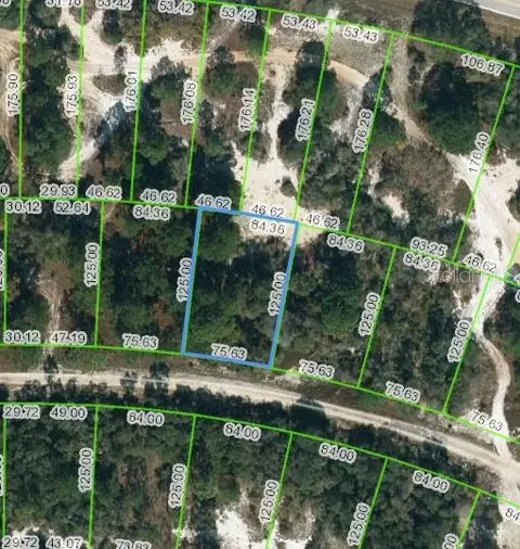 444 Morningside Dr, Lake Placid, FL 33852