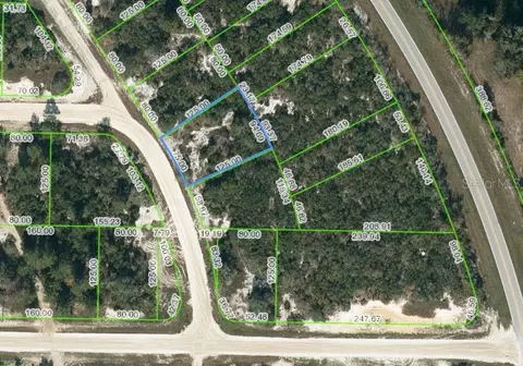 752 Morningside Dr, Lake Placid, FL 33852