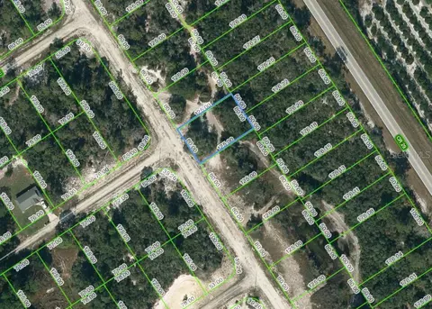 580 Morningside Dr, Lake Placid, FL 33852