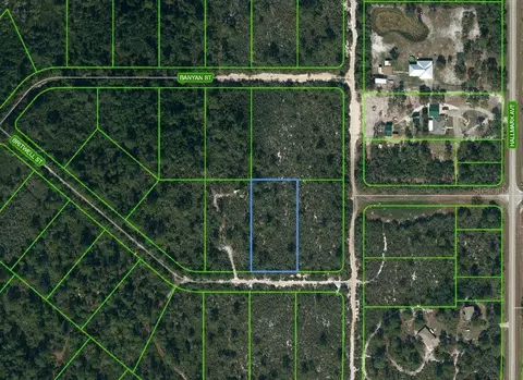 1250 Britwell St, Lake Placid, FL 33852