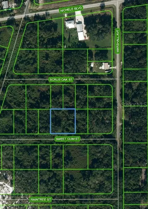1510 Sweet Gum St, Lake Placid, FL 33852