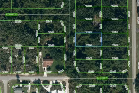 251 Marshall Ave, Lake Placid, FL 33852