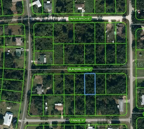 1511 Blackwillow St, Lake Placid, FL 33852