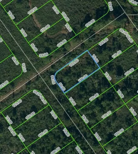 569 Kennedy St, Lake Placid, FL 33852