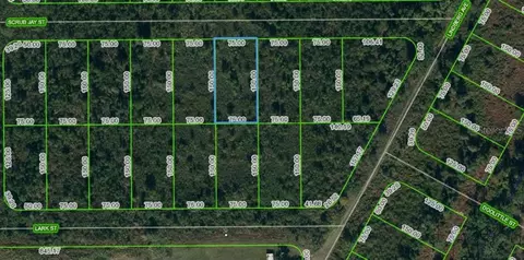 1431 Scrub Jay St, Lake Placid, FL 33852