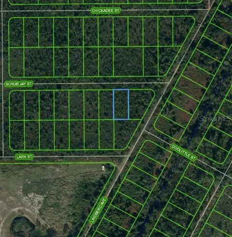 1435 Scrub Jay St, Lake Placid, FL 33852