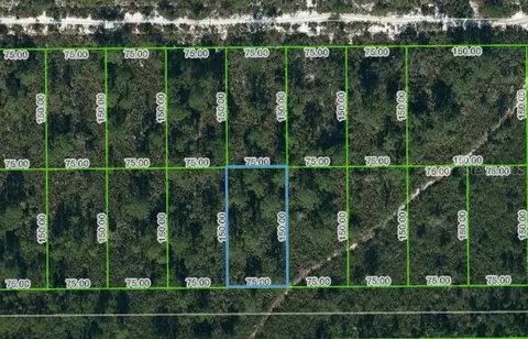 1442 Bittersweet St, Lake Placid, FL 33852