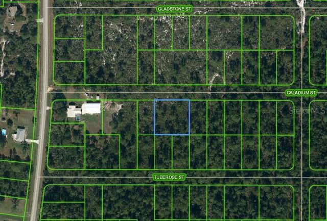 1411 Caladium St, Lake Placid, FL 33852