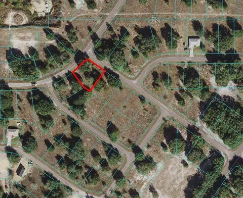 Guava Terrace, Ocklawaha, FL 32179