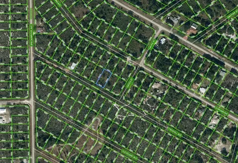 1034 Freehill Ave, Lake Placid, FL 33852