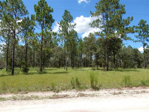 12771 NE 15th St, Williston, FL 32696 photo 1