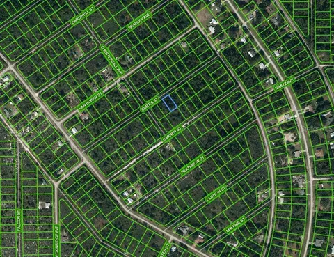 1221 Curtis St, Lake Placid, FL 33852