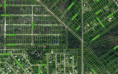 596 Tennessee Ave, Lake Placid, FL 33852