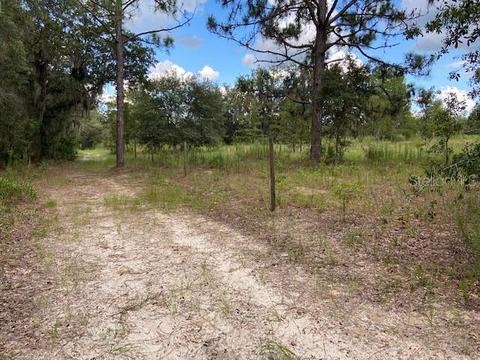 SE 116 Terrace Se, Williston, FL 32696