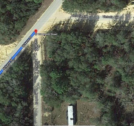 130 Brandt St, Interlachen, FL 32148