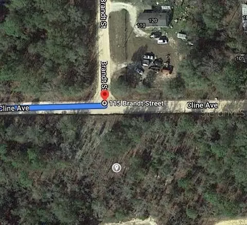 115 Branch Ave, Interlachen, FL 32148 photo 2