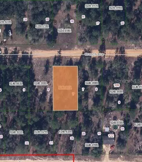 115 Branch Ave, Interlachen, FL 32148