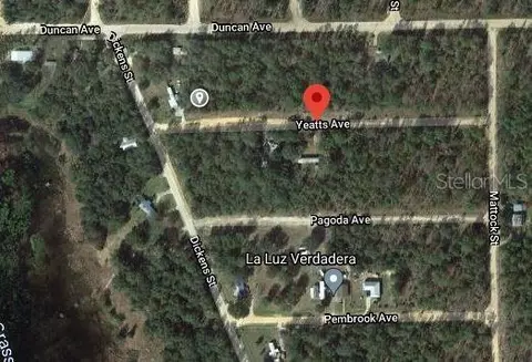 00 Yeatts Ave, Interlachen, FL 32148