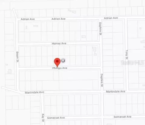 00 Phillips Ave, Interlachen, FL 32148 photo 3