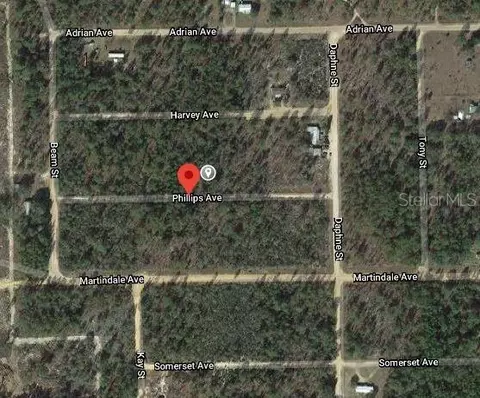 00 Phillips Ave, Interlachen, FL 32148 photo 2