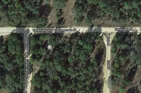 00 Jones St, Interlachen, FL 32148 photo 2