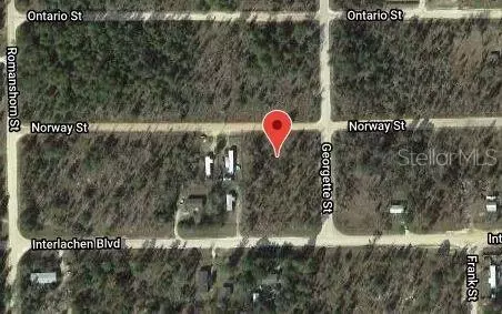 203 Norway St, Interlachen, FL 32148 photo 3