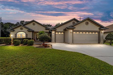 12505 SE 176th Loop, Summerfield, FL 34491 photo 1