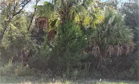 tbd SE 23rd Pl #LOT 6, Morriston, FL 32668