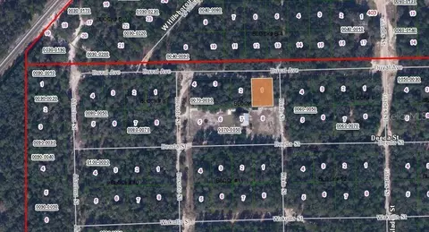 115 Duval Ave, Florahome, FL 32140 photo 3