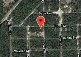 115 Duval Ave, Florahome, FL 32140 photo 2