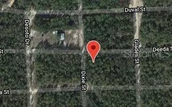 301 Deeda St, Florahome, FL 32140 photo 2