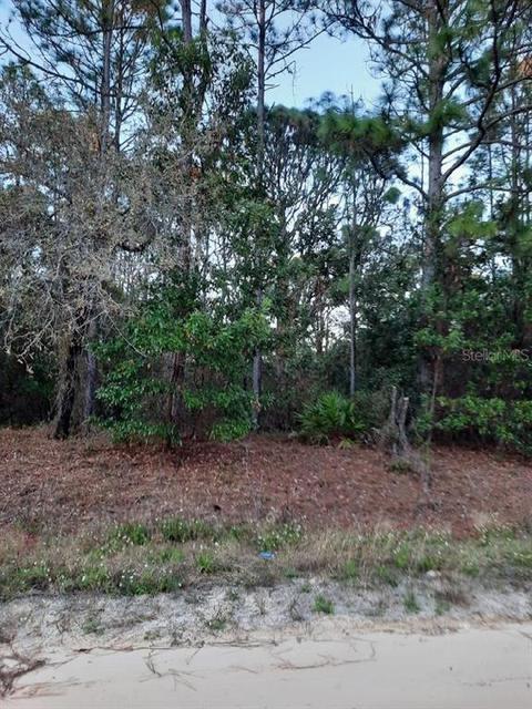 SW 80th Street, Dunnellon, FL 34432