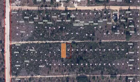 Willow Street, Interlachen, FL 32148 photo 2