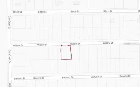 Willow Street, Interlachen, FL 32148 photo 3