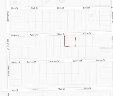 Willow St, Interlachen, FL 32148 photo 3