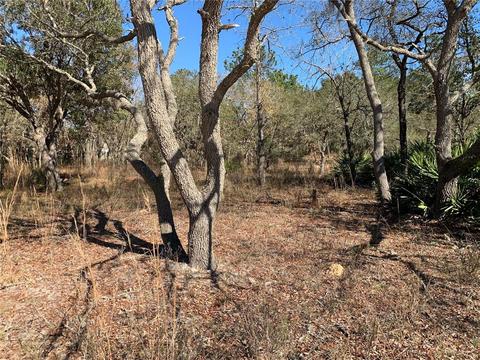 5967 N Summerfield Pt, Citrus Springs, FL 34434