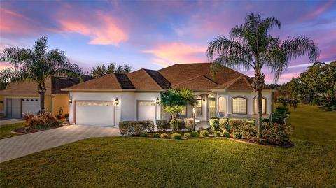 12175 SE 175th Loop, Summerfield, FL 34491 photo 1