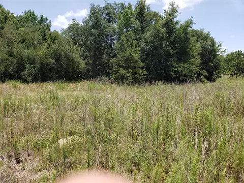 2402 Jackson St, Inverness, FL 34453